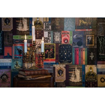 papel-pintado-pared-libros-hogwarts-hp 2
