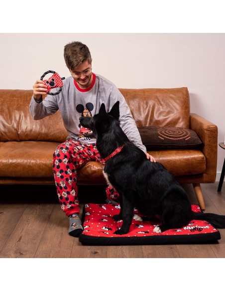 correa-para-perros-s-minnie