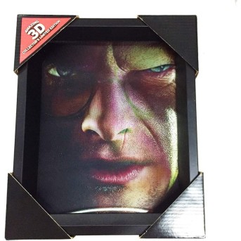 CUADRO 3D HARRY / VOLDEMORT HARRY POTTER 2