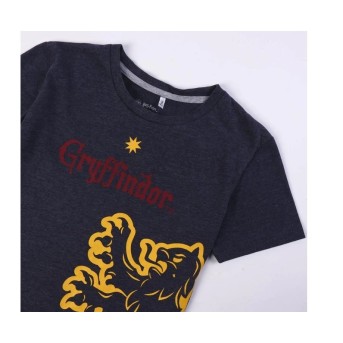 Pijama león gryffindor